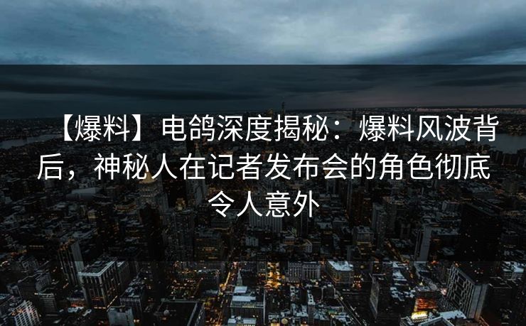 【爆料】电鸽深度揭秘：爆料风波背后，神秘人在记者发布会的角色彻底令人意外