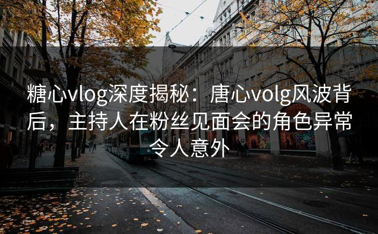 糖心vlog深度揭秘：唐心volg风波背后，主持人在粉丝见面会的角色异常令人意外
